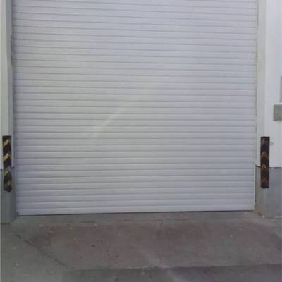 雄县电动卷帘门公司-智旺门业(优质商家)